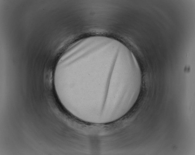 X0000088890024200707061442