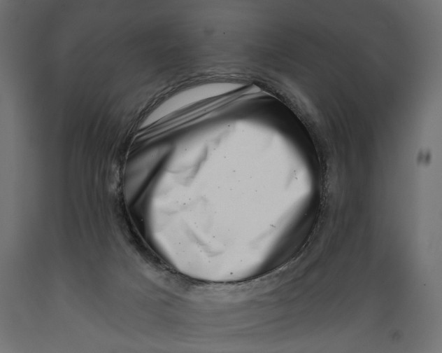 X0000088890025200707061442