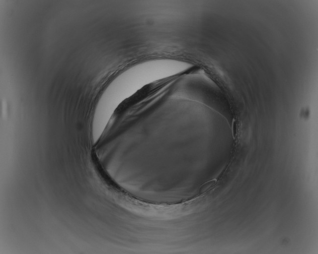 X0000088890027200707061442