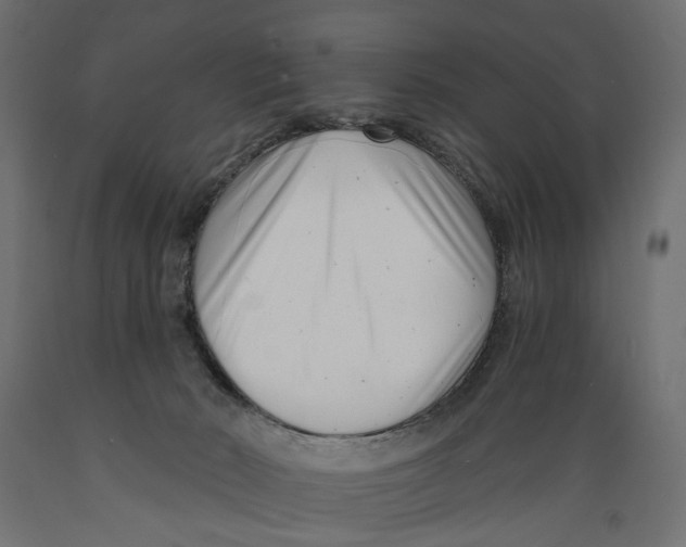 X0000088890030200707061442