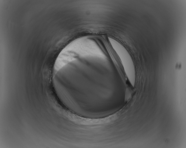 X0000088890031200707061442