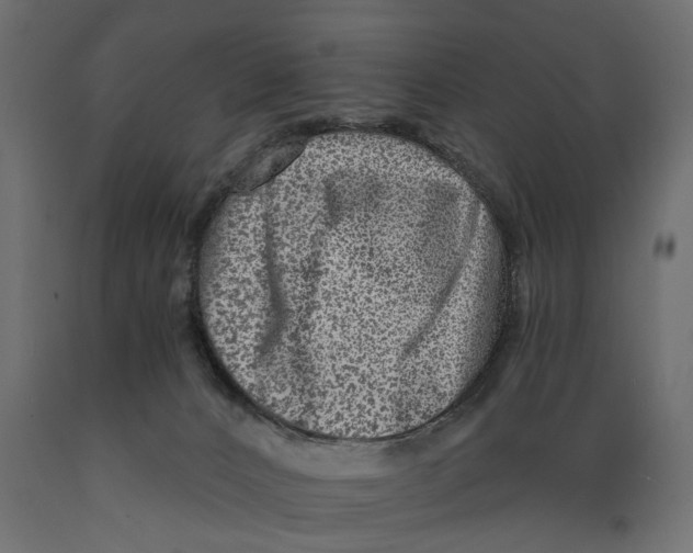 X0000088890032200707061442