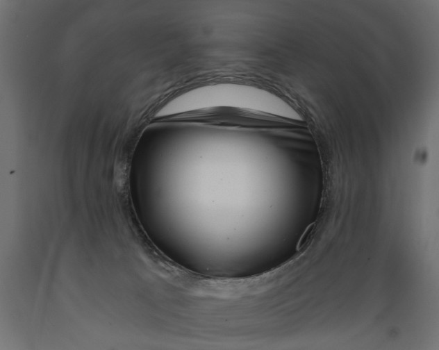 X0000088890033200707061442