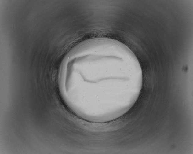 X0000088890034200707061442