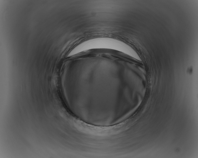 X0000088890035200707061442
