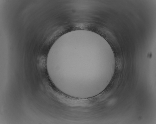 X0000088890036200707061442