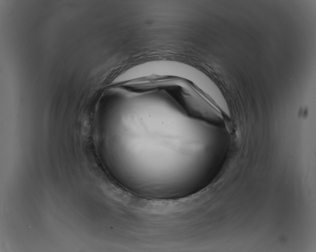 X0000088890037200707061442