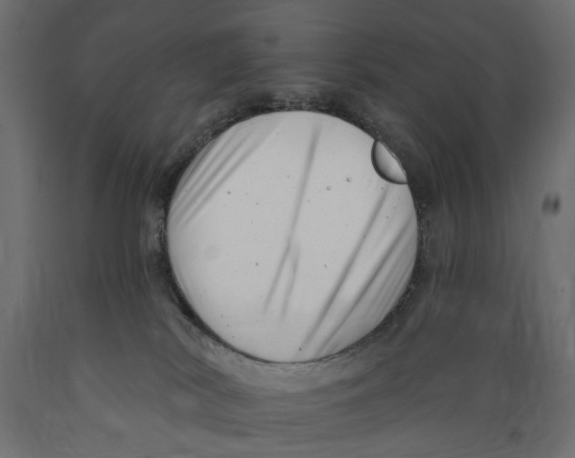 X0000088890038200707061442