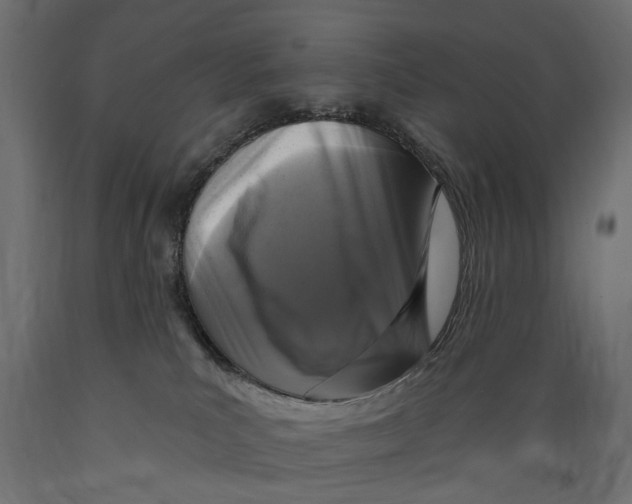 X0000088890039200707061442