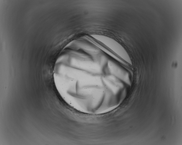 X0000088890040200707061442