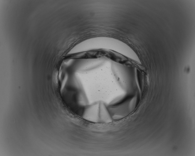 X0000088890041200707061442