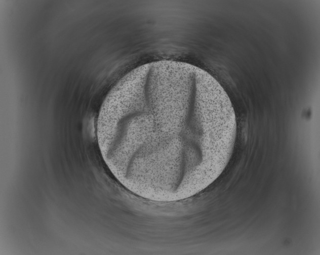 X0000088890042200707061442
