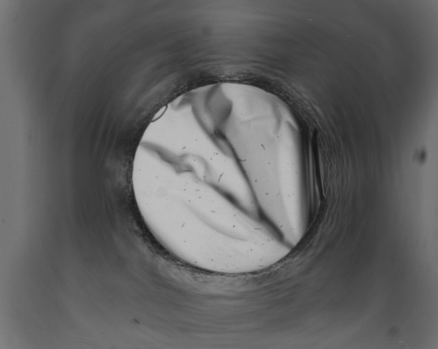 X0000088890044200707061442