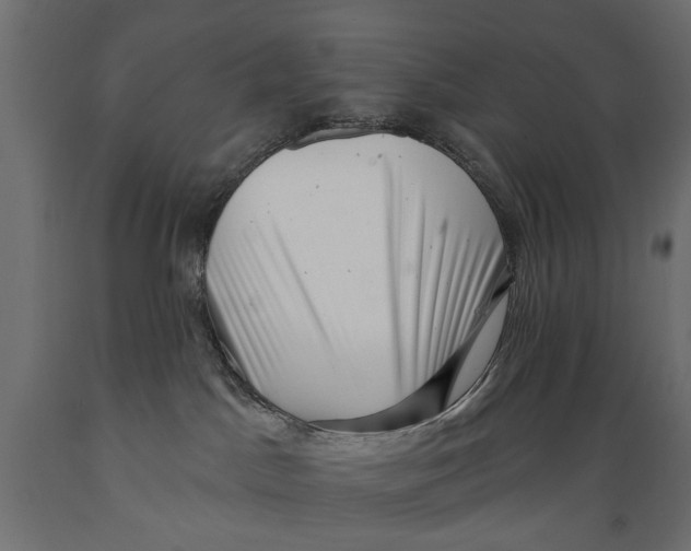 X0000088890045200707061442