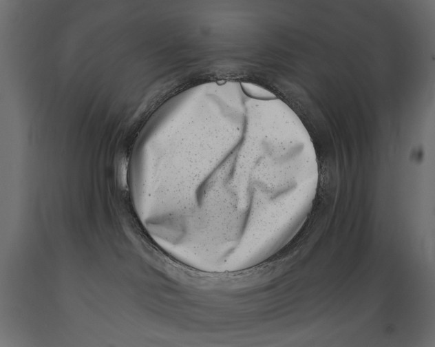 X0000088890046200707061442