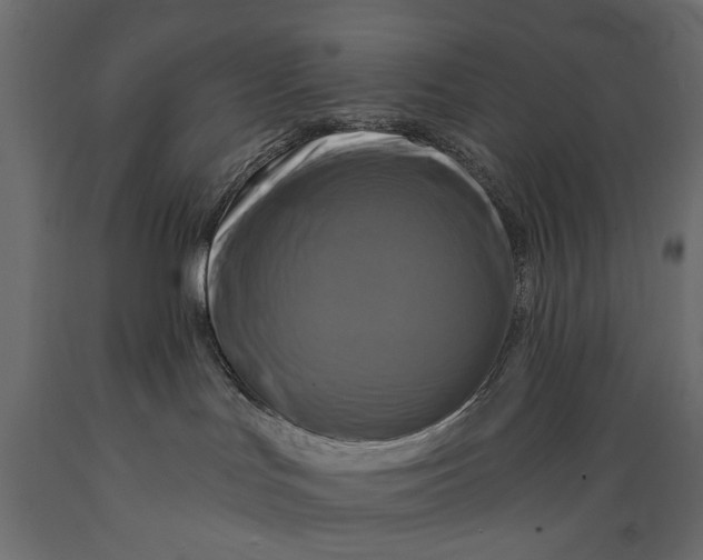 X0000088890047200707061442