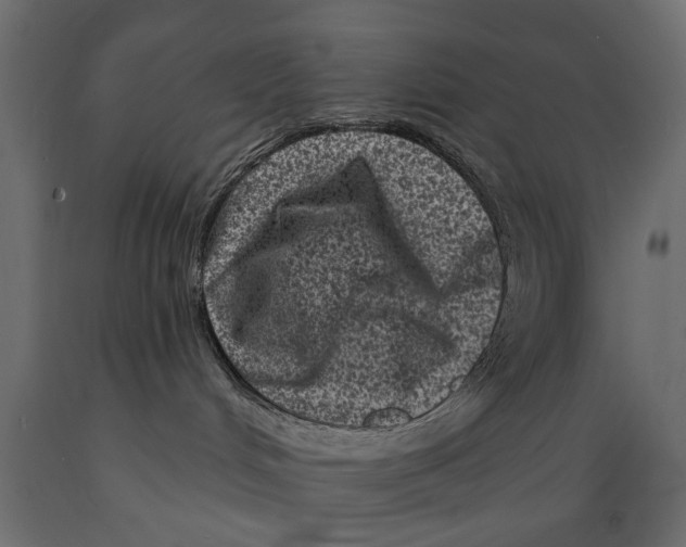X0000088890048200707061441