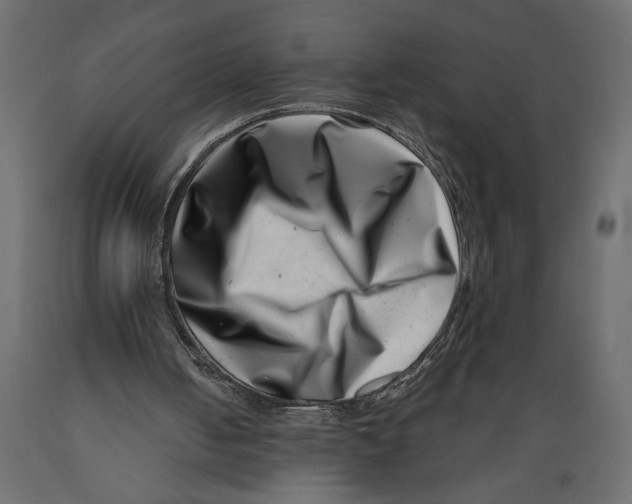 X0000088890050200707061441