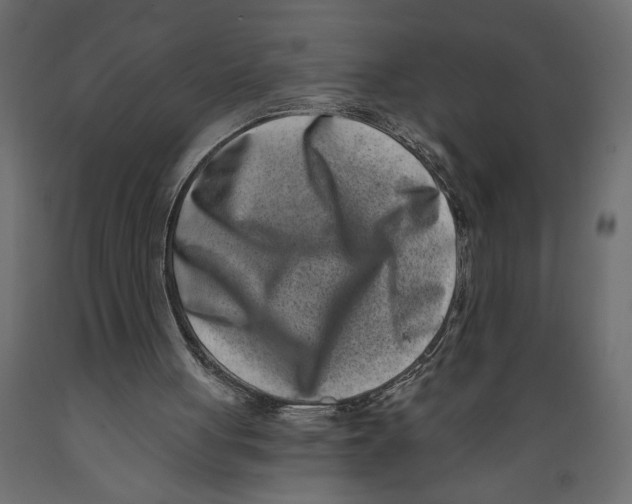 X0000088890051200707061441
