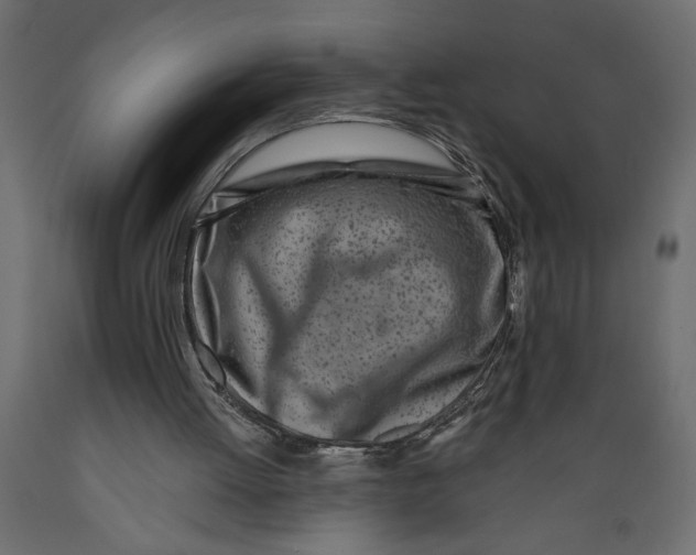 X0000088890052200707061441