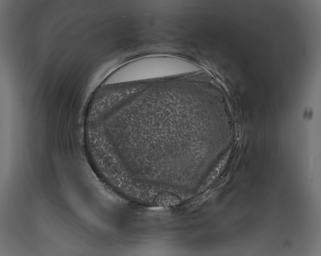 X0000088890053200707061441