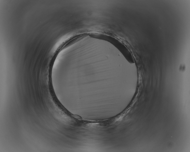 X0000088890054200707061441