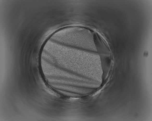 X0000088890055200707061441