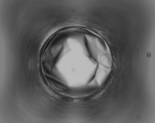 X0000088890056200707061441