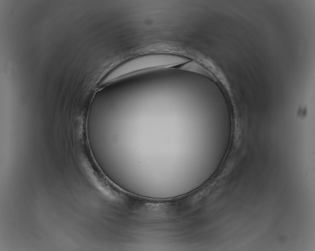 X0000088890057200707061441
