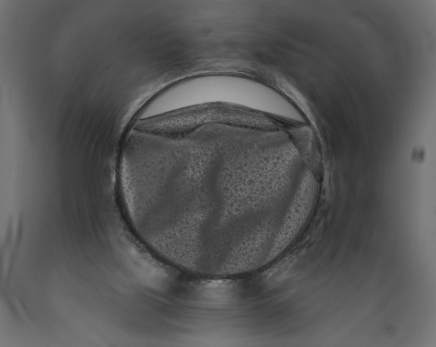 X0000088890059200707061441