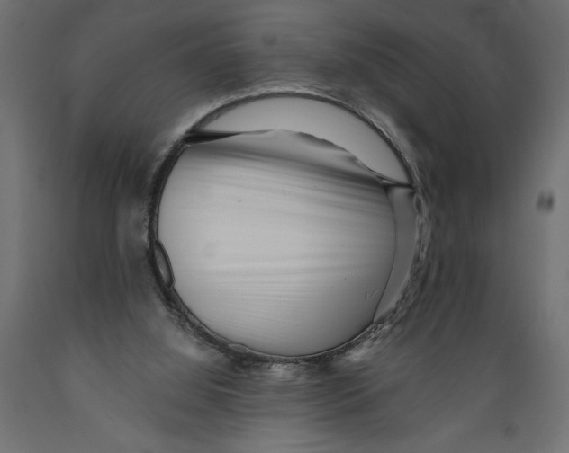 X0000088890060200707061441