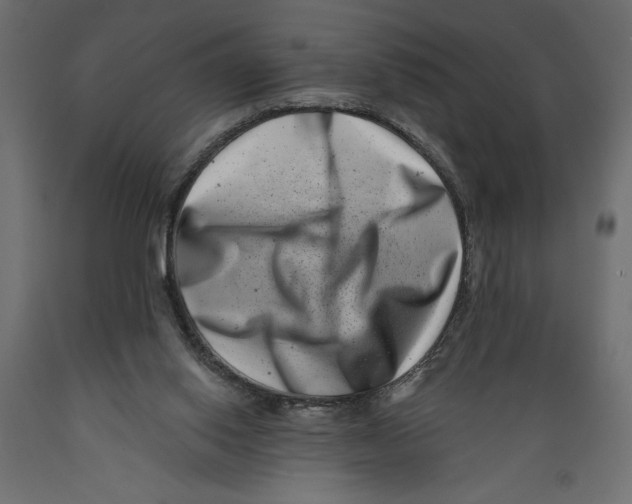 X0000088890062200707061441