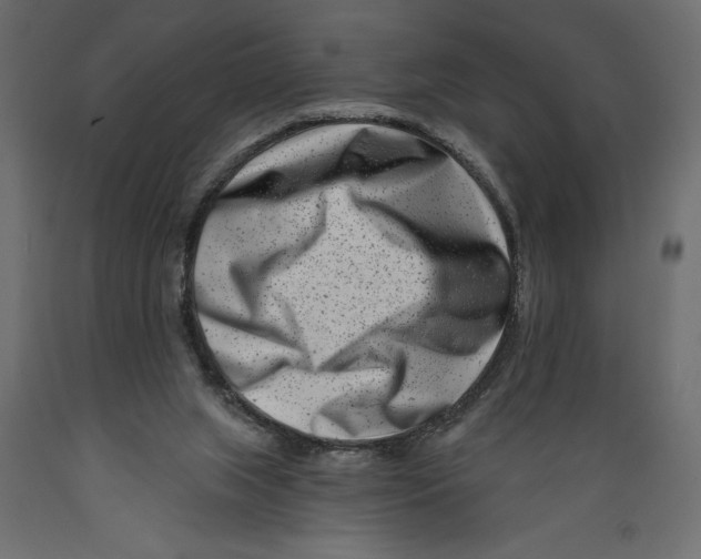 X0000088890063200707061441