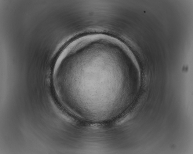 X0000088890064200707061441