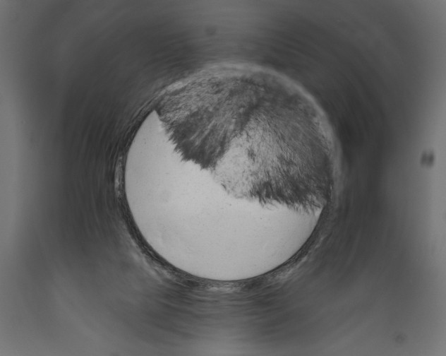 X0000088890065200707061441