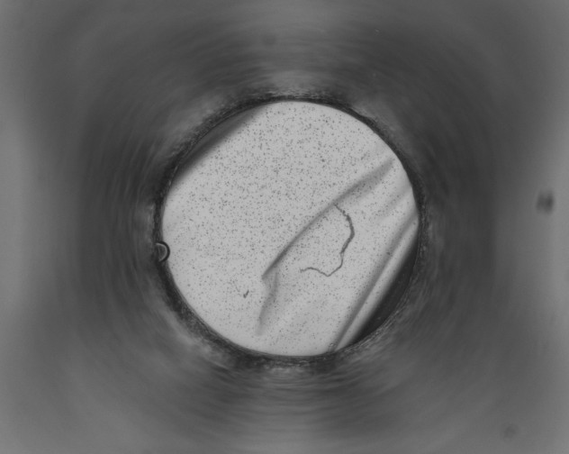 X0000088890066200707061441