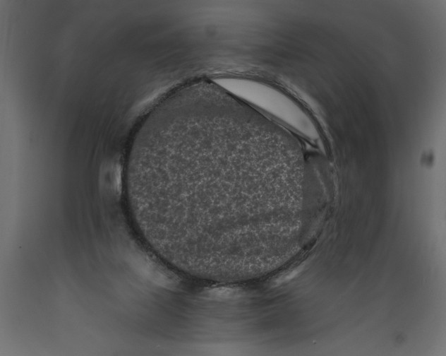 X0000088890067200707061441