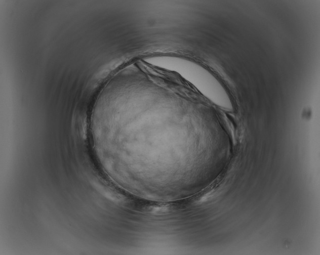 X0000088890068200707061441