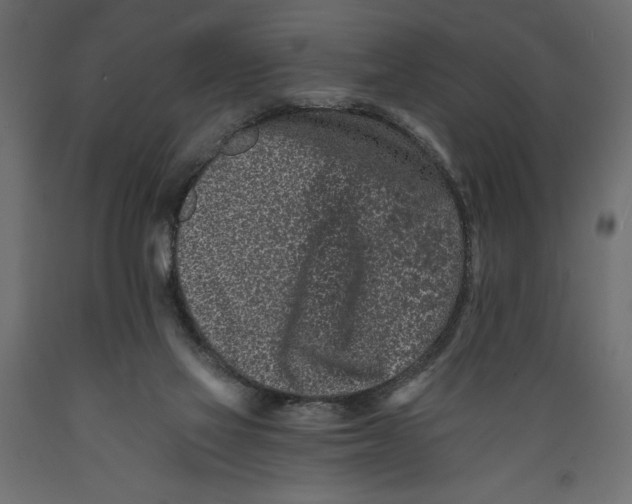 X0000088890069200707061441
