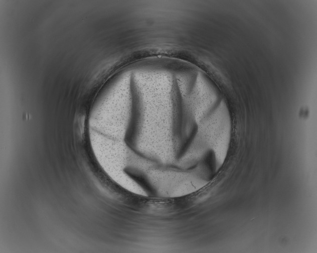 X0000088890070200707061441
