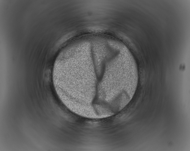X0000088890071200707061441