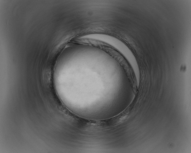 X0000088890072200707061441