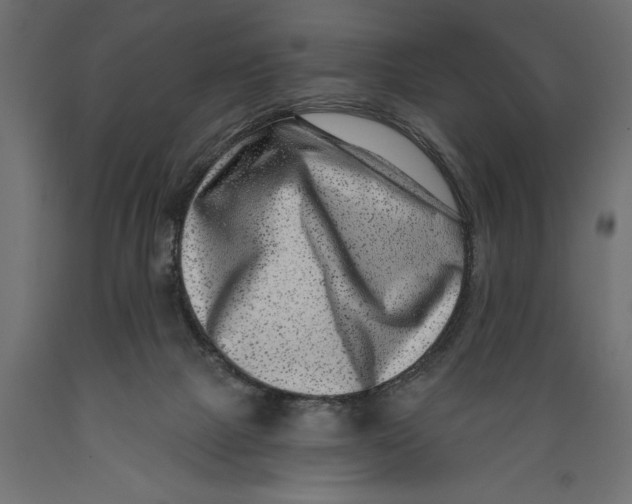 X0000088890073200707061441