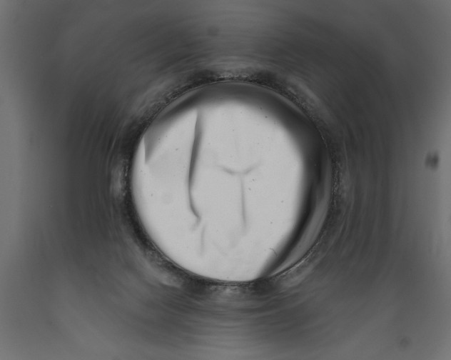 X0000088890074200707061441