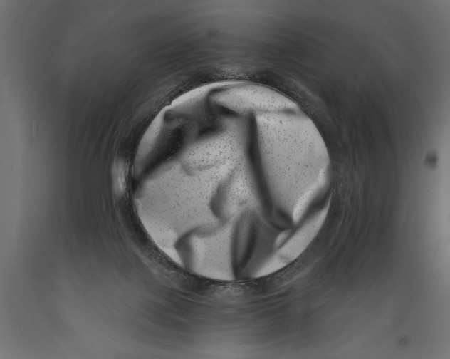 X0000088890075200707061441