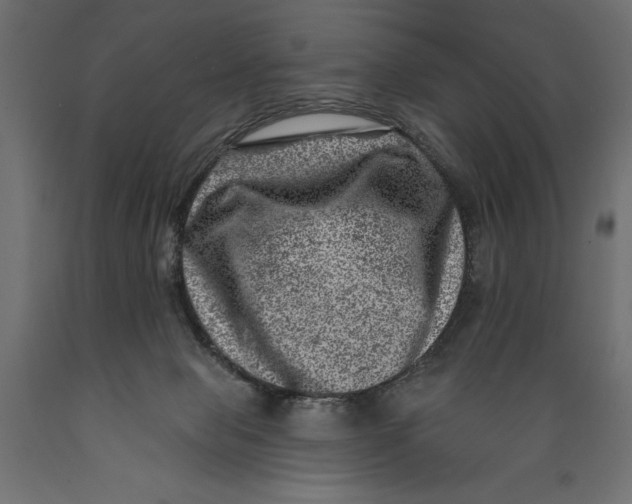 X0000088890077200707061441