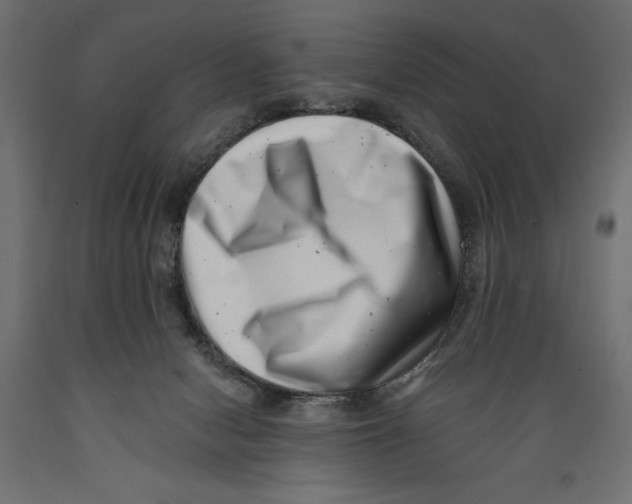 X0000088890078200707061441