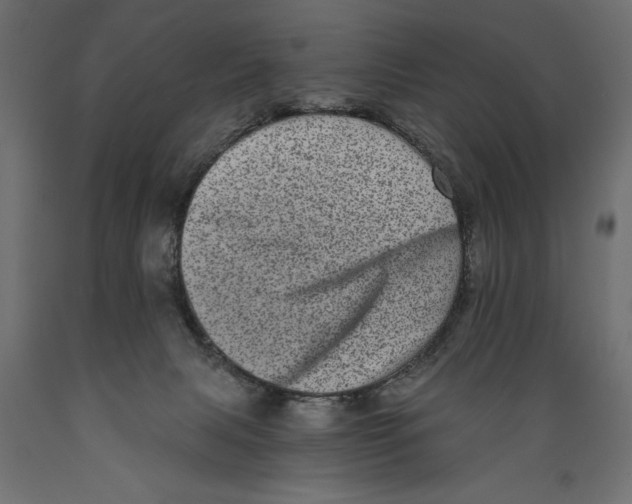 X0000088890079200707061441