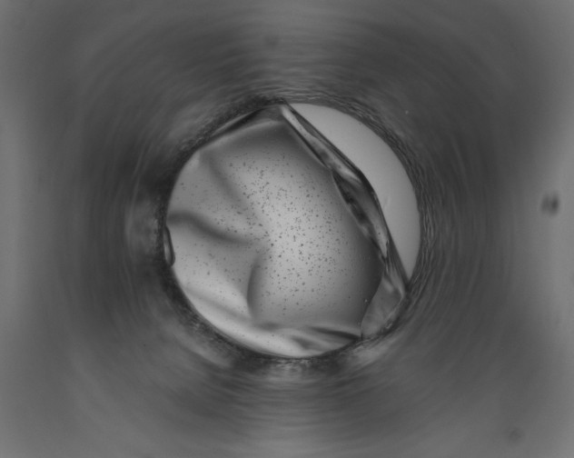 X0000088890080200707061441