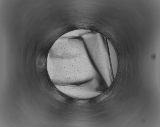 X0000088890081200707061441